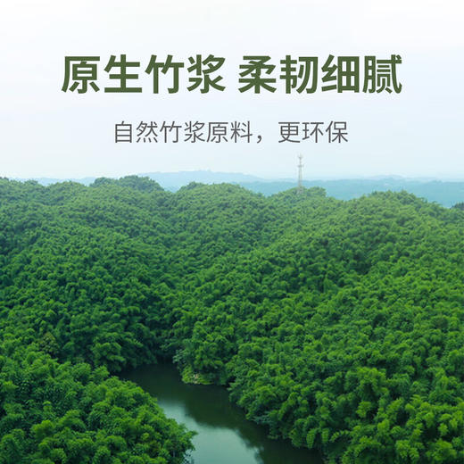 美穗吉家 本色竹浆卷纸 4层加厚 70g/卷*12卷*2提 商品图4