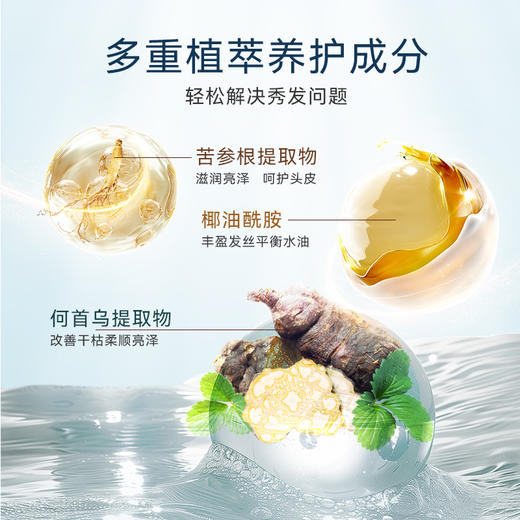 【新品】【购物先领券】【春游季 买一送一】敬修堂控油蓬松柔顺洗发露320ml专利植物控油改善头皮油脂水润亮泽不干枯 效期28年10月 商品图4