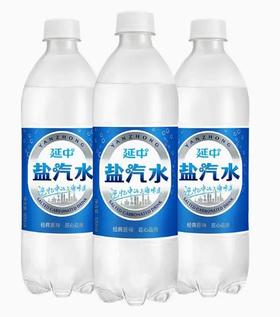 延中盐汽水600ml*20瓶