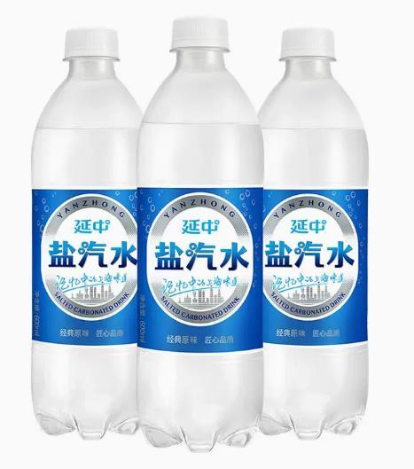 延中盐汽水600ml*20瓶 商品图0