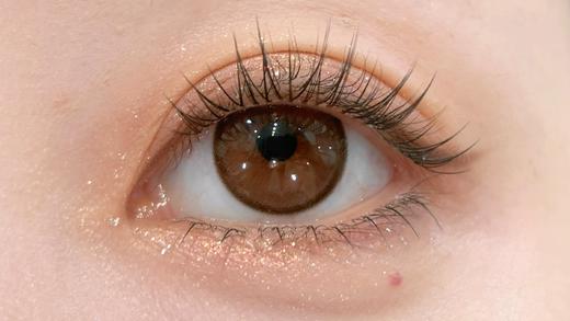 Flowercolor平价半年抛--丝绒奶咖 商品图2