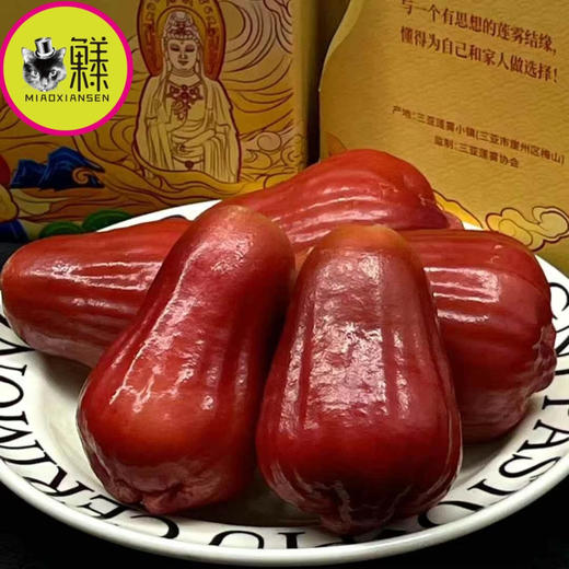 【有机】三亚南鹿莲雾（口感天花板）礼盒1.5kg装 商品图4