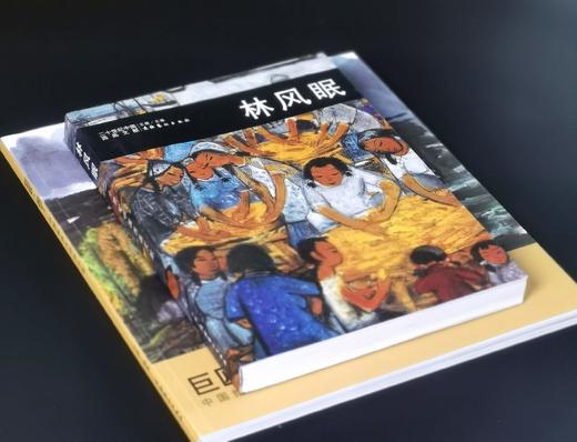 《二十世纪中国西画文献：林风眠》+《巨匠 园丁：林风眠》，32开+16开，平装，王骁主编，文化艺术出版社2010年一版一印，分别定价88、128，分别售价：35,48元。 商品图3