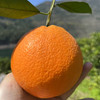 云阳伦晚脐橙，精选中大果，一箱净重10斤左右，发顺丰 商品缩略图1
