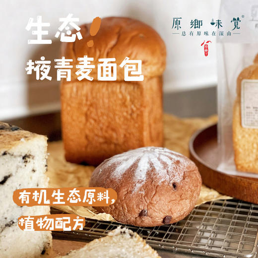 【排单发货2件起发！】生态掖青麦面包（基地直发-顺丰空运）| 多种口味，来自北京，生产者：王东【合作生产，公平贸易】 商品图0