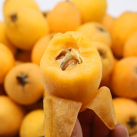 【分仓直发包邮】福建云霄枇杷1斤装大果（10个内）（单果50g+） 商品图3