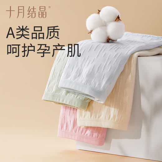 孕妇内裤纯棉低腰怀孕期专用中晚期大码女纯棉内裤短裤 商品图4