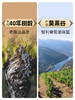傲鱼尊蓝R5西拉梅洛混酿红葡萄酒750ML*1瓶（无礼盒）100%智利原瓶进口【XPTX】 商品缩略图2
