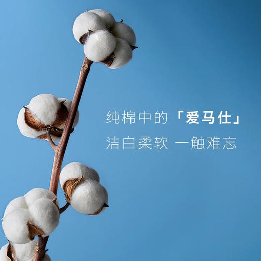 【56片组合装】高洁丝卫生巾日用奢爽纯棉姨妈巾臻选甄选 商品图1