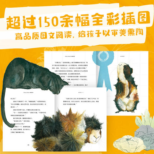 【图书】《小鼠奥尔加》全3册精装 | 6-9岁小学生阅读故事书 商品图3