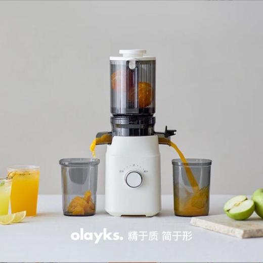olayks立时 多功能条纹款原汁机OLK-LJ02 YZJ00201 商品图0