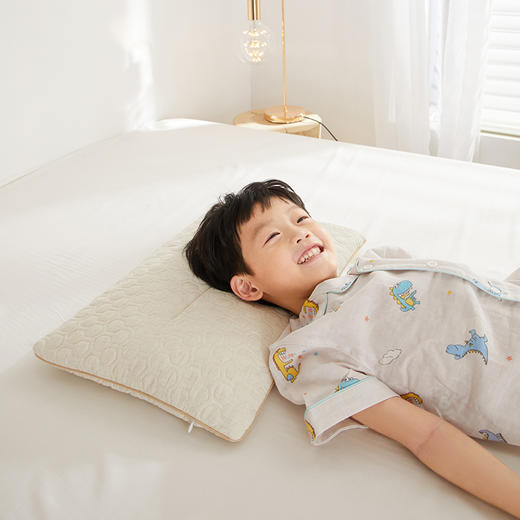 自然醒A类亲子亚麻荞麦枕全荞麦壳枕芯成人低枕家用护颈专用睡眠硬枕XK 商品图9