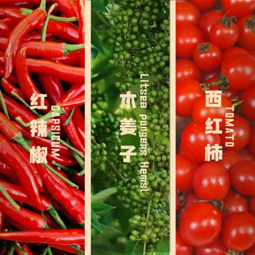 【限时8折 】酸小主 贵州红酸汤 火锅底料汤底 600g/盒【60g*10袋】 商品图2