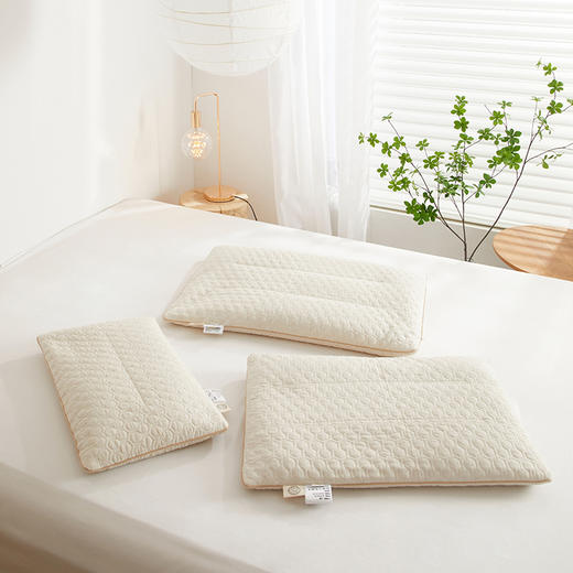 自然醒A类亲子亚麻荞麦枕全荞麦壳枕芯成人低枕家用护颈专用睡眠硬枕XK 商品图4