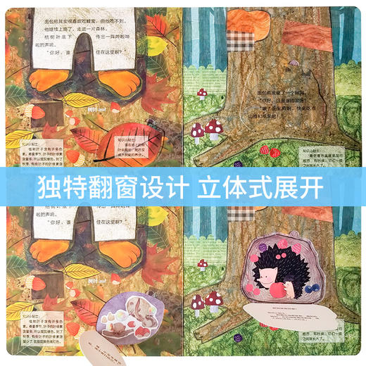 奇趣科普翻翻书第一辑 商品图2