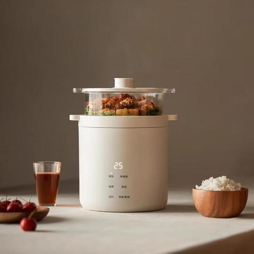 olayks立时 智能款单胆电饭煲1.2L DFB04001 商品图0
