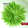 2025新茶 逸品诚者青山翠毫小罐茶绿盒礼盒 200g（10g*20盒） 商品缩略图1