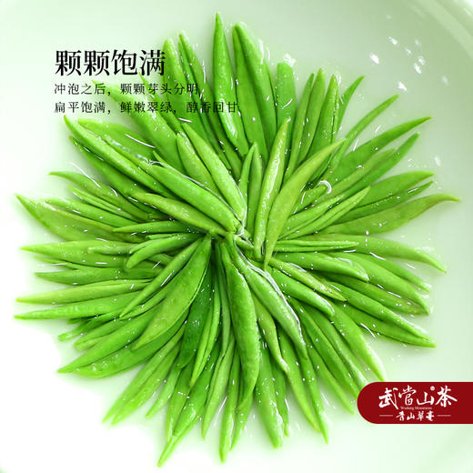 2025新茶 逸品诚者青山翠毫小罐茶绿盒礼盒 200g（10g*20盒） 商品图1