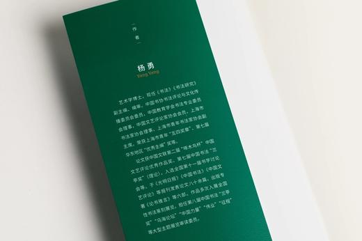 《中国书法的理法观》 杨勇 著 限量赠蜡染一笔笺5张（颜色随机） 商品图3