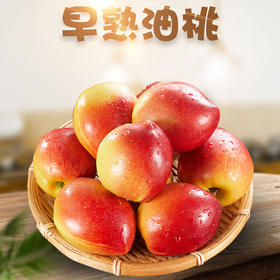 【分仓直发包邮】红皮黄肉油桃2斤小果（单果60g+）（约12-16个）