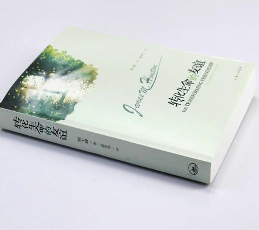 转化生命的友谊（如何正确的dg）--侯士庭 商品图2