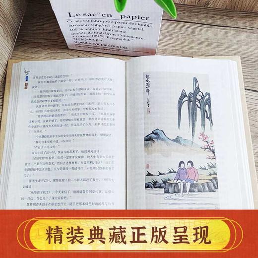 《文心》叶圣陶诞辰130周年纪念版（另有印章版可选） 商品图1