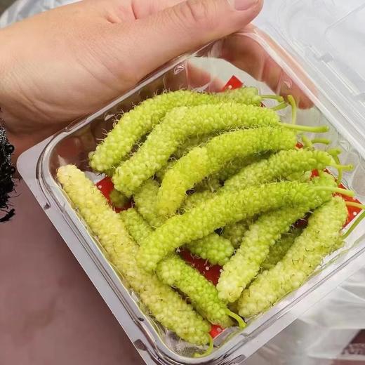 白玉桑葚 商品图1