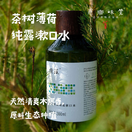 茶树薄荷纯露漱口水（成都仓库-顺丰快递 ） ｜300ml/瓶，来自广东中山，生产者：旗溪【合作生产，公平贸易】 商品图0