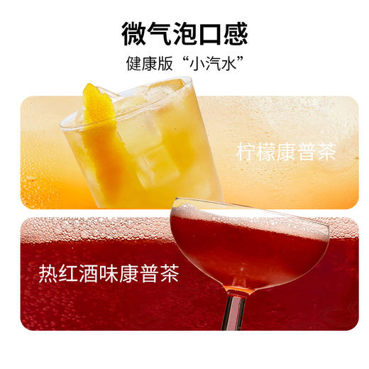 一包生活康普茶冲泡饮料0蔗糖0脂肪添加12种益生菌富含VC健康喝水 商品图3