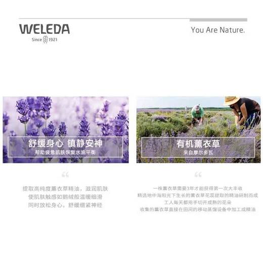 【保税仓】维蕾德薰衣草安神护肤油100ml 商品图4