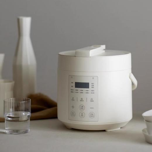olayks立时 触摸版电压力锅3L DYLG00210 商品图0