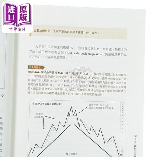 【中商原版】技术分析精论 二十年来投资界*完整的技术分析全图解 上 港台原版 马丁普林 寰宇出版 商品图3