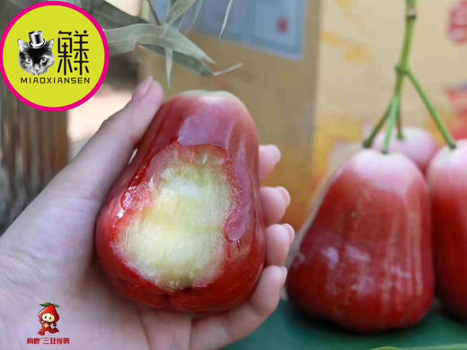 【有机】三亚南鹿莲雾（口感天花板）礼盒1.5kg装 商品图3