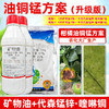 油铜锰方案矿物油代森锰锌喹啉铜杀虫剂柑橘果树专用杀螨剂杀虫剂 商品缩略图4