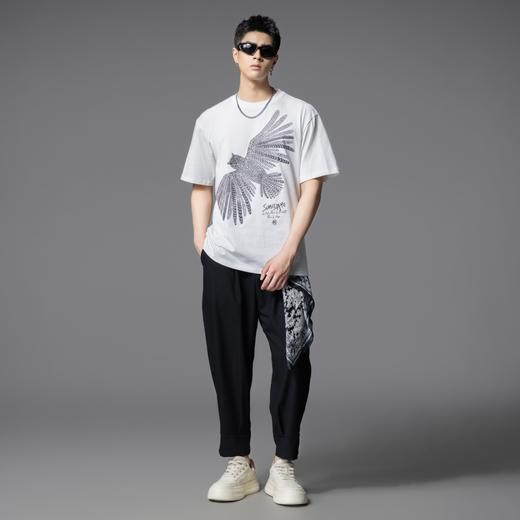 PINLI品立2025夏季新款男圆领猫头鹰烫画短袖T恤上衣BG252111022 商品图4