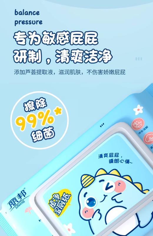 丽邦湿厕纸80片 商品图0
