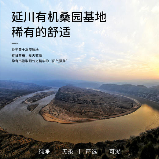 「姨妈巾界的真爱马仕」钱皇 桑蚕丝卫生巾，天然无敏，瞬吸秒干爽 商品图3