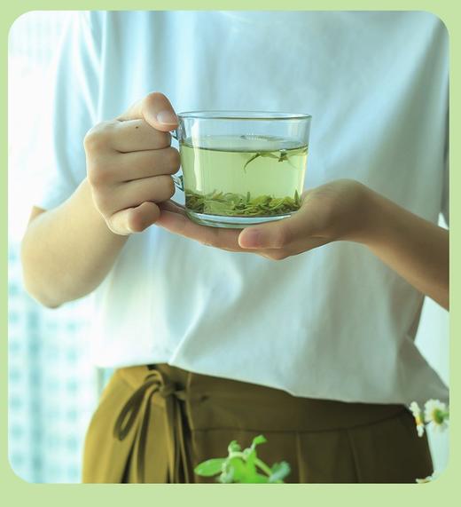 春和·明前茶，6款明前茶囊括了蒸青、炒青、烘青的代表，可以品尝到不同风味的茶叶【买2件赠仿宋茶壶一个】 商品图1