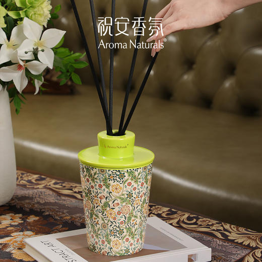 【春上新】9楼母婴生活馆 祝安香氛挥发液艺术家系列香氛挥发液卧室香薰香氛香薰450mL 吊牌价：359元 店庆价：199元 商品图3