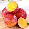 【分仓直发包邮】红皮黄肉油桃2斤小果（单果60g+）（约12-16个） 商品缩略图2