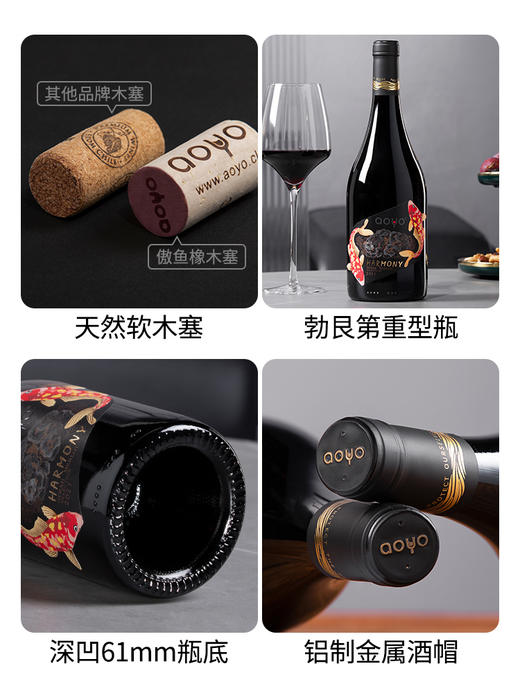 傲鱼尊蓝R5西拉梅洛混酿红葡萄酒750ML*1瓶（无礼盒）100%智利原瓶进口【XPTX】 商品图4