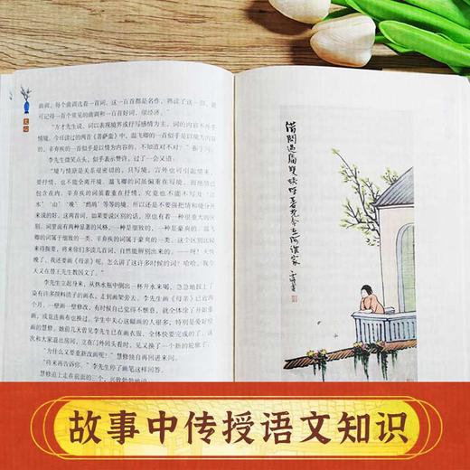 《文心》叶圣陶诞辰130周年纪念版（另有印章版可选） 商品图2