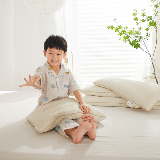 自然醒A类亲子亚麻荞麦枕全荞麦壳枕芯成人低枕家用护颈专用睡眠硬枕XK 商品图12