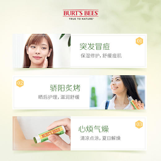 伯特小蜜蜂积雪草棒4.25g_PX 商品图3