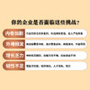 突围：穿越低谷，韧性增长 管理者创业者提升业绩企业逆境突围战略规划数字化转型经营书籍 商品缩略图1