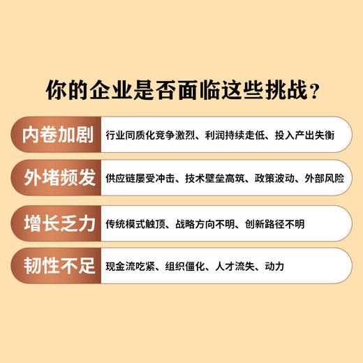 突围：穿越低谷，韧性增长 管理者创业者提升业绩企业逆境突围战略规划数字化转型经营书籍 商品图1