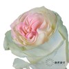 厄瓜多尔单头玫瑰 | 水母JELLYFISH 商品缩略图1