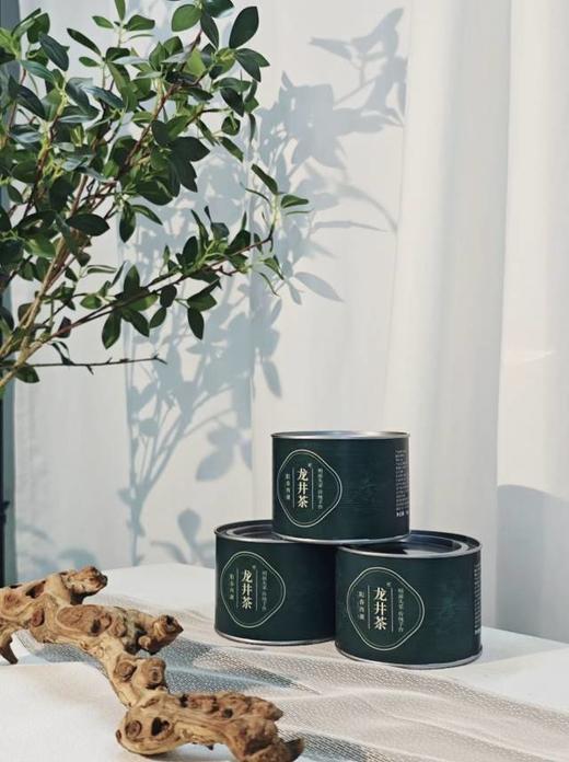 明前龙井茶❗正宗明前龙井特价到手4罐！【朴大师绿罐阳春龙井绿茶】西湖核心产区❗✅严选明前春茶头采，品龙井，一口江南春 ✅飘香明前，量大性价比高 商品图5