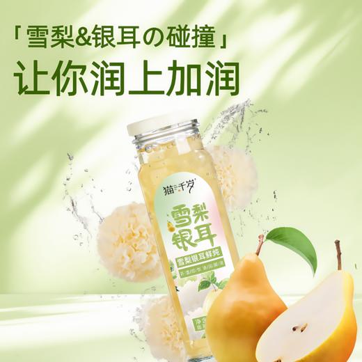 猫千岁雪梨银耳鲜炖有机银耳鲜露即食6瓶送人礼盒 商品图0