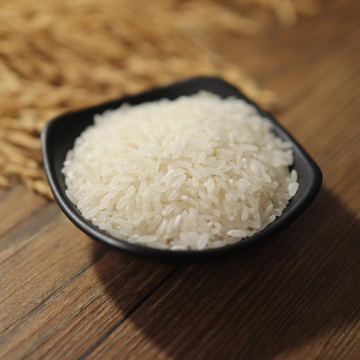 香畴石板生态大米 | 500g/2.5kg 东北火山岩稻田 香甜软弹有回甘 冷饭不回生 粳米一级 谦益农业 商品图1